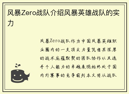 风暴Zero战队介绍风暴英雄战队的实力